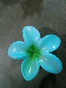 Hair Clip Bundle
