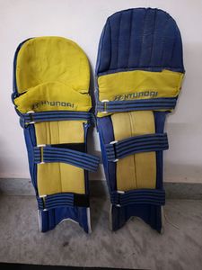 Leg Pads