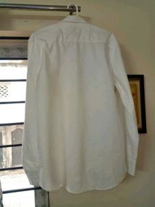 NEW LACOSTE OXFORD COTTON WHITTE SHIRT