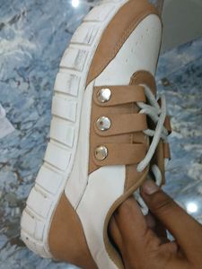 Stylish Casual Shoes