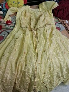 Beautiful Gown With Embrroided Shrug Wears Only 2 Time