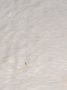 20 Ko Pure Gold Nose Pin