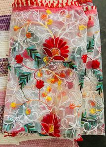 Multi Colour Duppatta