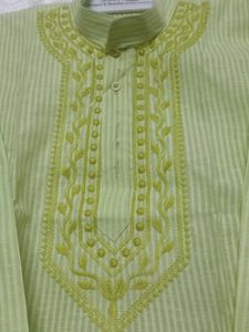 Light Green Embroidered Kurta