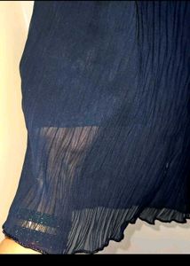 Wide Leg Pleated Pants