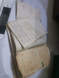 Very Old Diaries Plain