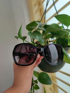 Vision Express Women&#39;s sunglasses