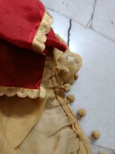 Set Of 2 Designer Dupattas