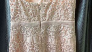 Blush Lace Mermaid Gown