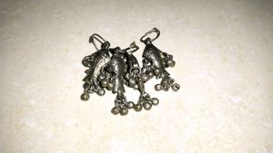 Silver Fish