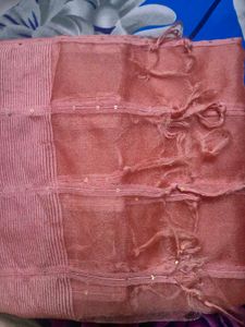 Peach Organza Scarf
