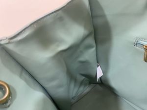 Charles &amp; Keith Olive Tote