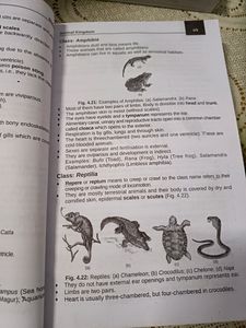 Ncert One Liner Format  Disha Publication Book