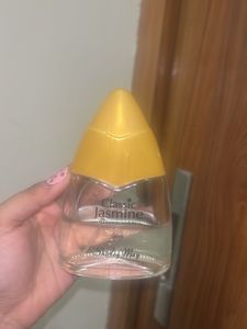 Classic Jasmine - Shirley May