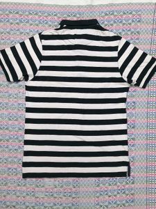 Striped Polo Shirt