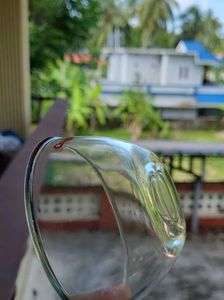 Two Glass Bowls