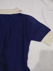 Navy &amp; Beige Polo Top