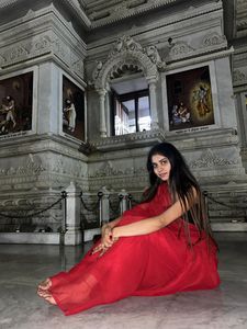 The Classy Red Saree