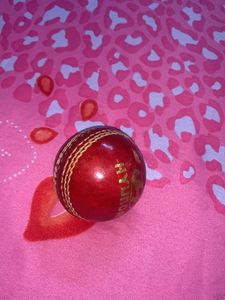 Cricket Leather Ball