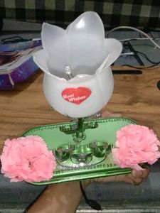 Rose Night Light Decoration