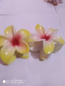 Pastel Flower Hair Claw Clips Set Of 2