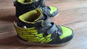 Hopscotch Brand Kids Boys Shoes For 8 TO 9 Year