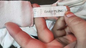 Elegant White Lace Bra 🖤