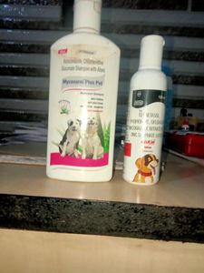Dog Shampoo Mycobacterium