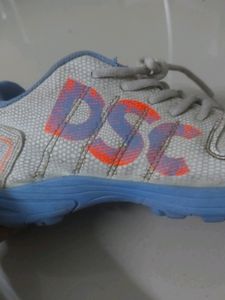 DSC Fearless Cricket Shoes