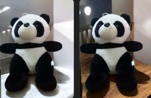 Cool Teddy Bear Black Nd White Colour