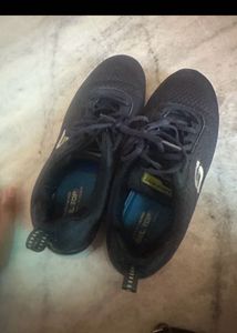 Blue Original Skechers Sneakers with Box