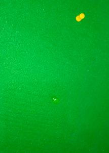 Green Bulletin Board