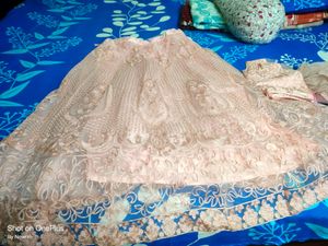 Beautiful Peach Lahenga