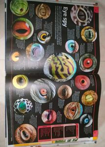 General Knowledge Genius Book