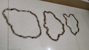 Seashell Necklace