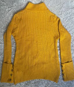 turtle neck sweater