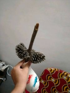 Christmas Tree Pine Cone