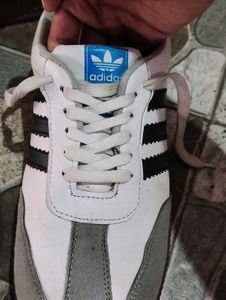 Adidas Samba Sneakers Shoes For Men