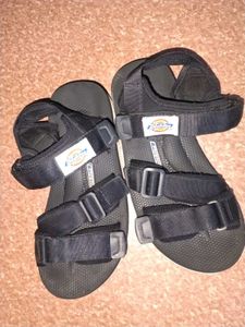 Dickies Sandal Men