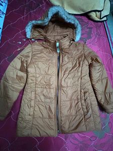 Brown New Puffer Jacket