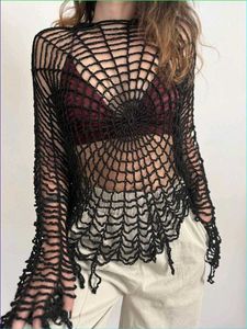 Aesthetic Crocheted Spiderweb Overtop