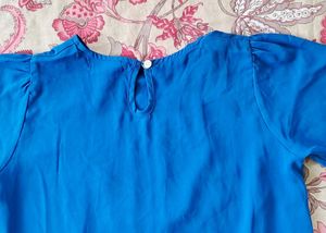 Blue Owl Applique Top