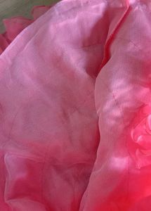 Unused Cute Peach Dress