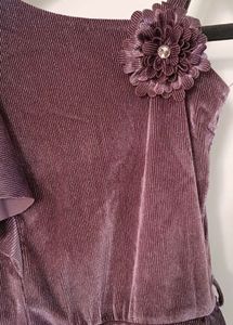 Velvet Dress