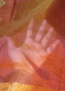 Orange Colour Shinning Organza Saree