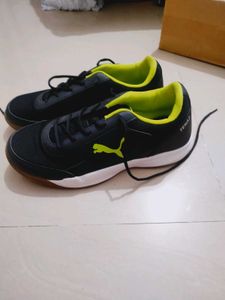 Puma Indoor Sports Shoes