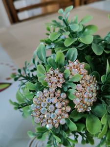 Elegant Crystal Jewelry Set