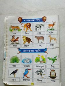 Bengali Alphabet Books