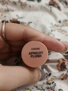 Zudio Check And Lip Tint