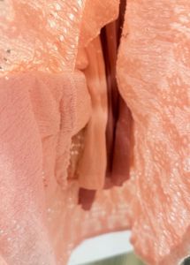 Romantic Blush Pink Eyelet Midi Dress